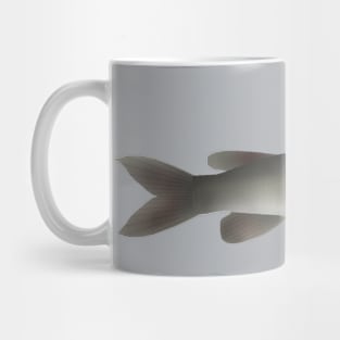 Golden Nile Catfish Mug